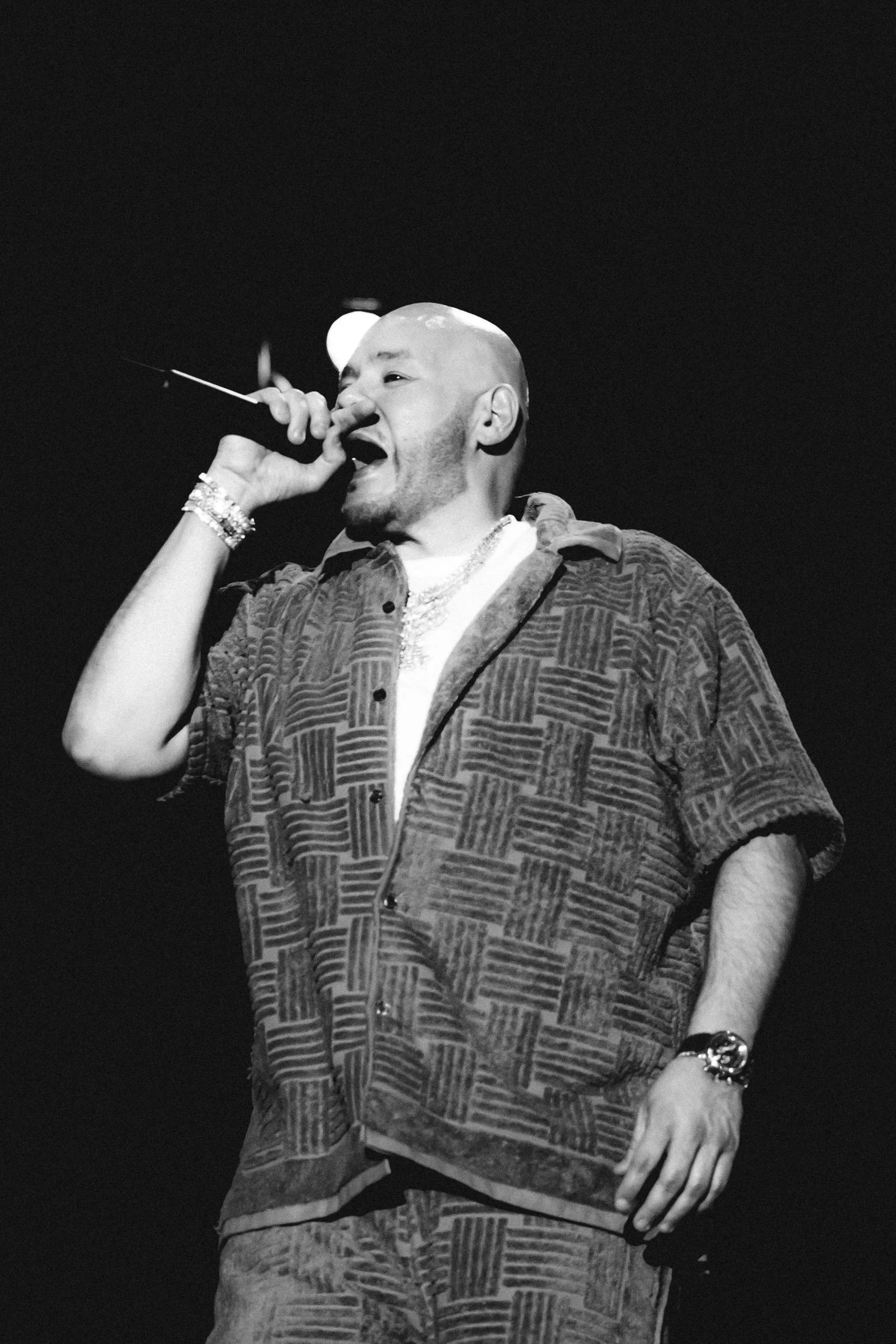 Fat-Joe-Lovers-&-Friends-Fest-08.jpg