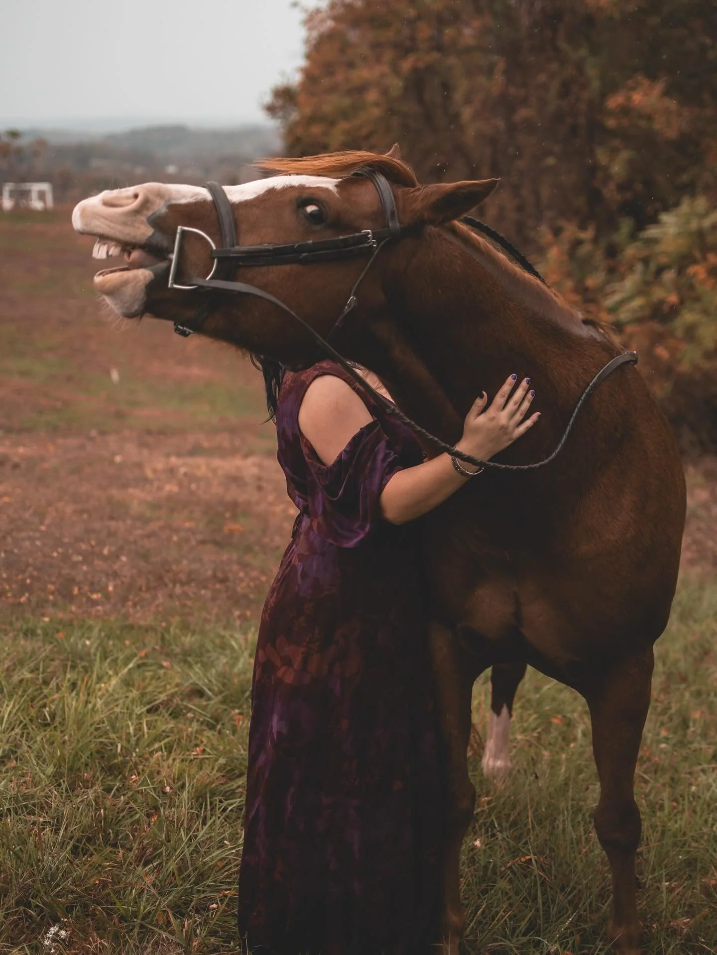 Nothing like the love between a girl and her horse.💜

@bannon_ruby + Oliver.
.
.
.
#portraitphotographer #portraitphotography #seniorphotographer #familyphotographer #brandphotographer #lifestylephotographer #pittsburghphotographer #paphotographer