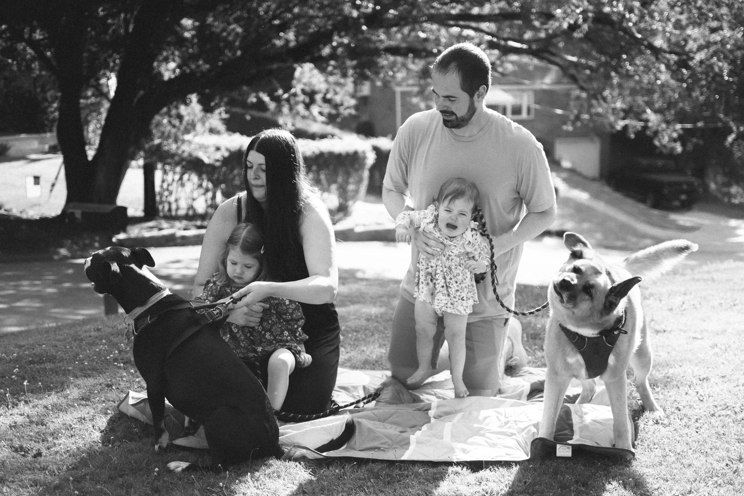 Just a little family chaos and sweetness (with an iconic guest appearance by Lola) 😂
.
.
.
#familyphotographer #portraitphotographer #lifestylephotographer #documentarystyle #pittsburghphotographer