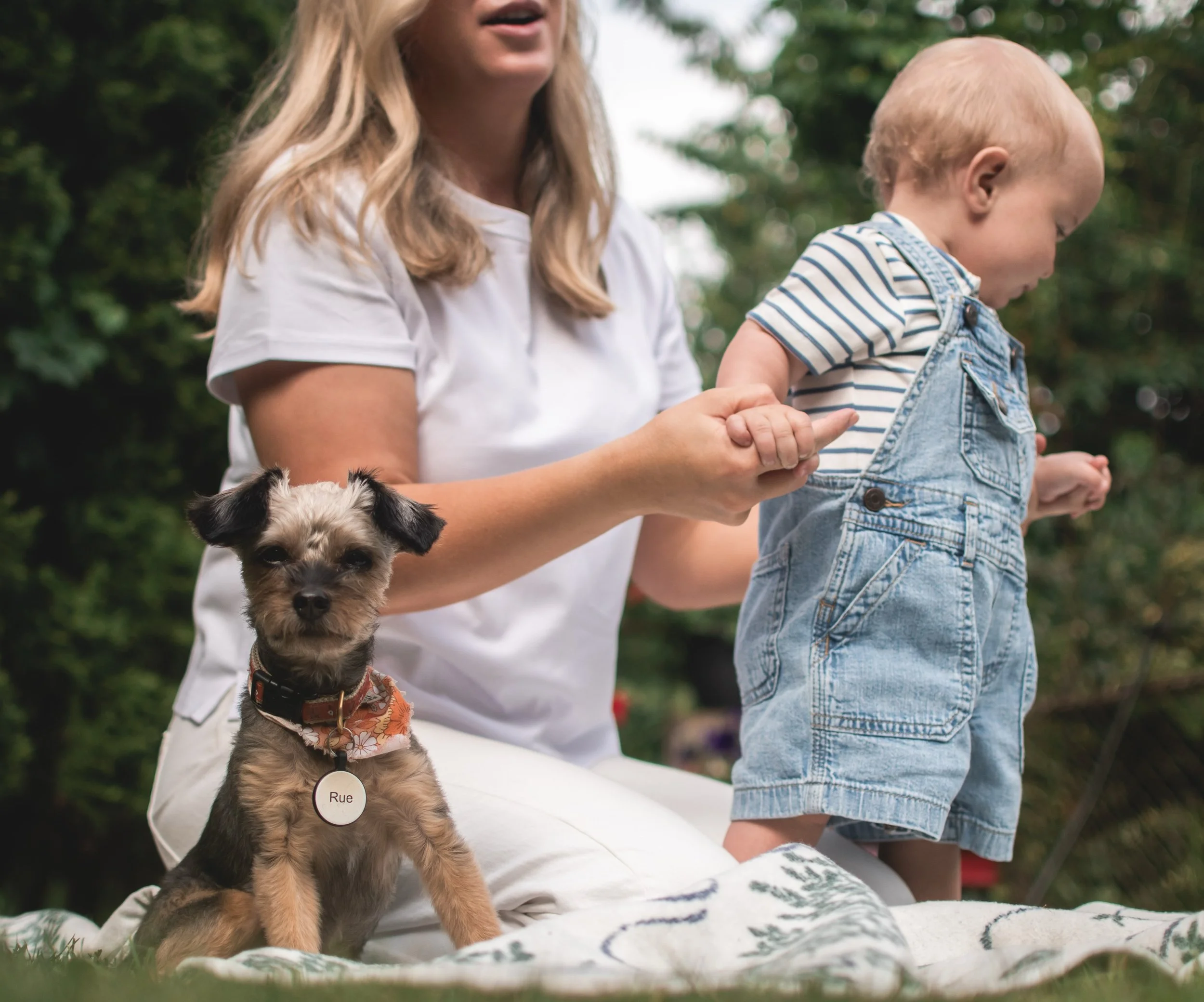 I loveeee when family pets join in on the photoshoot 🥹
.
.
.
#familyphotographer #lifestylephotographer #portraitphotographer #pittsburghphotographer #documentarystyle