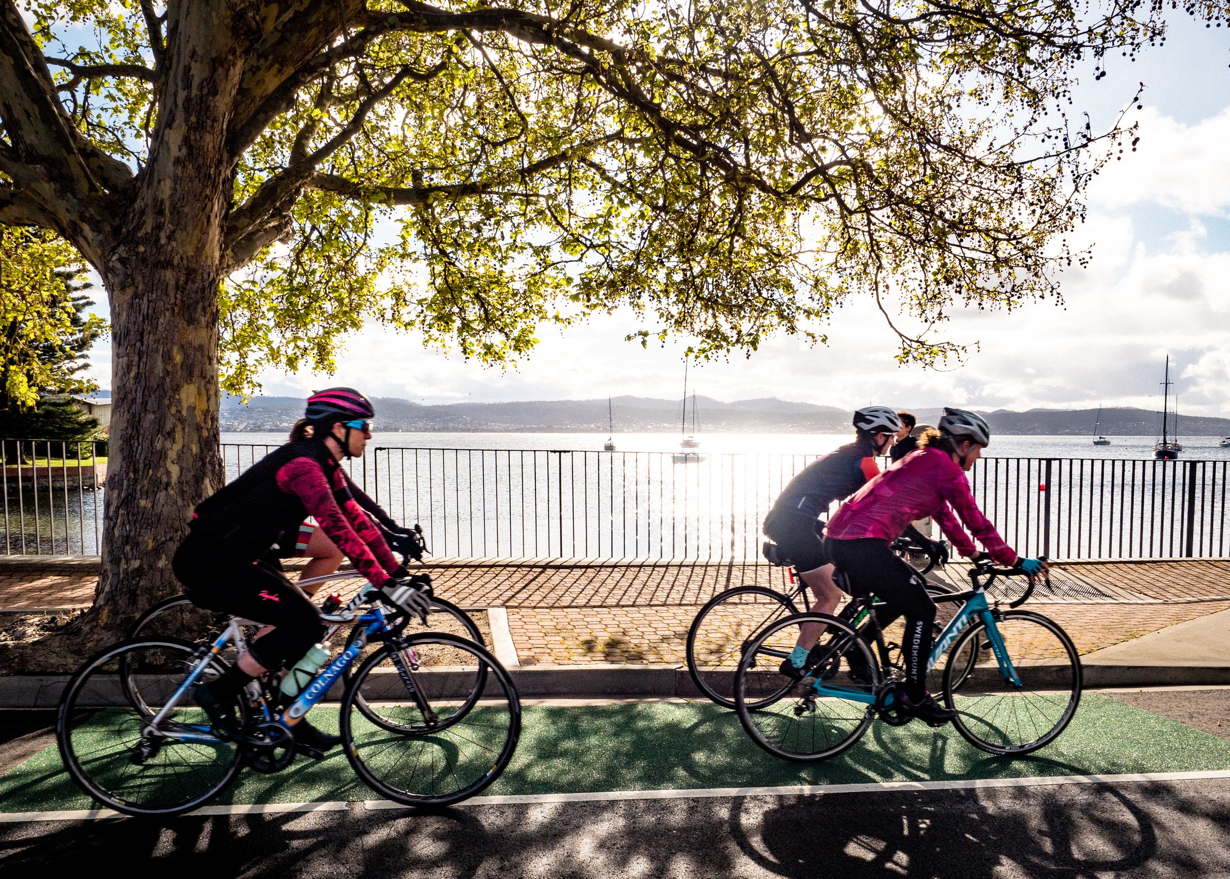 Hobart Wheelers — Cycling Festival