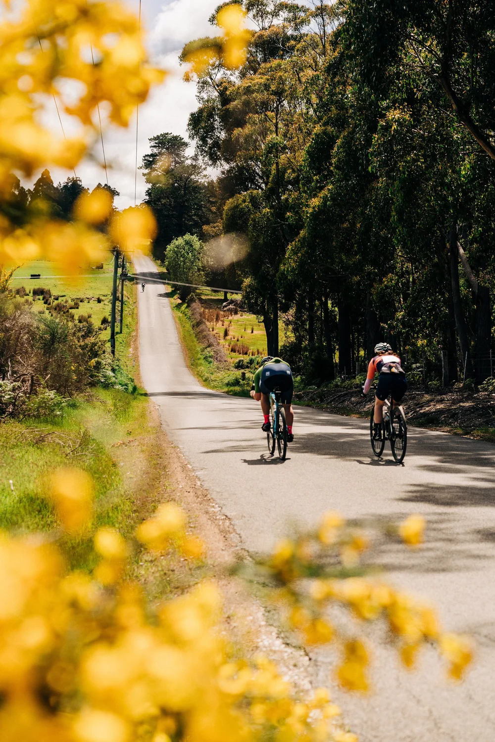 Race Results — Bendigo Bank Cycling Festival