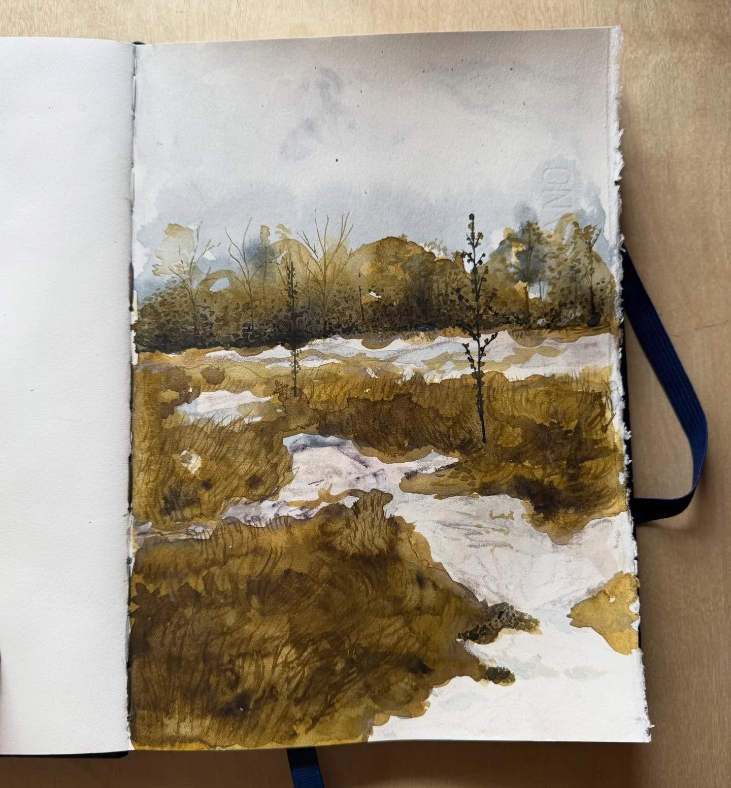 Sketch of the sandstone glade at Lynn Overlook in Little River Canyon National Preserve - on a cold wet foggy day