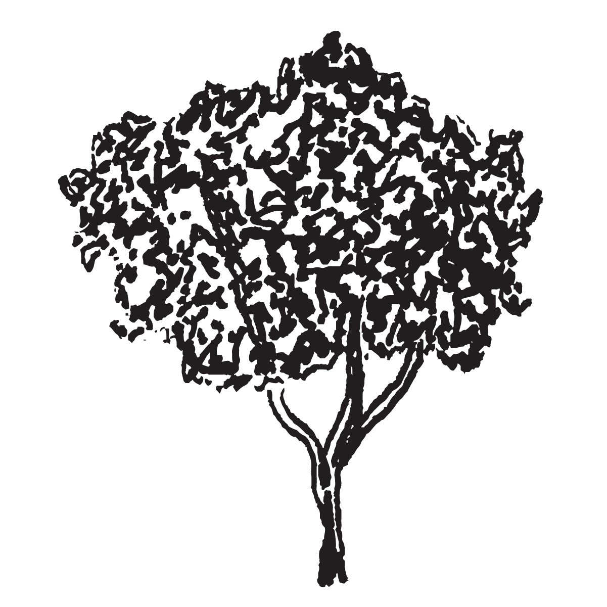 Hand drawn tree icon