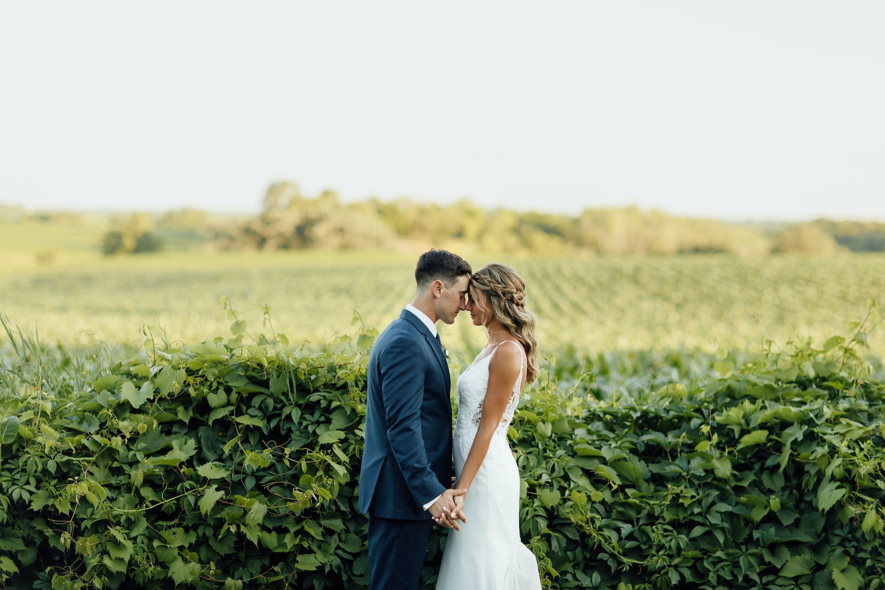 Bride and groom standing close in a vineyard, holding hands, wearing a wedding dress and suit.