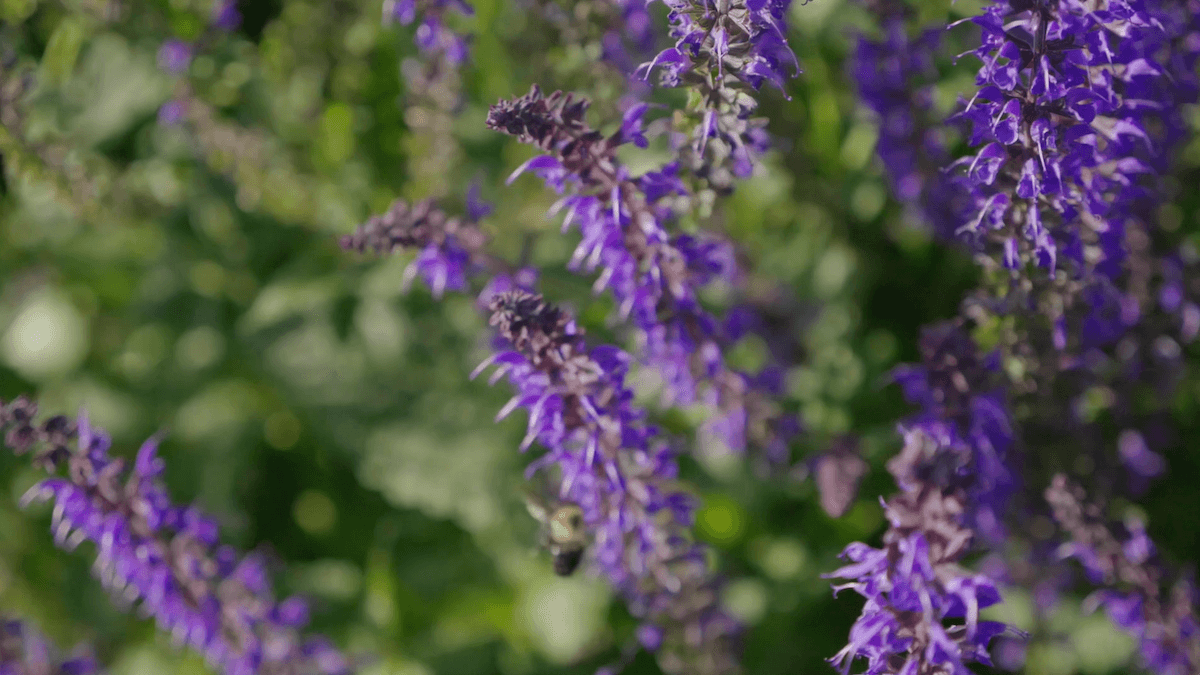 Screen Shot 2022-12-20 at 2.06.38 PM (1).png