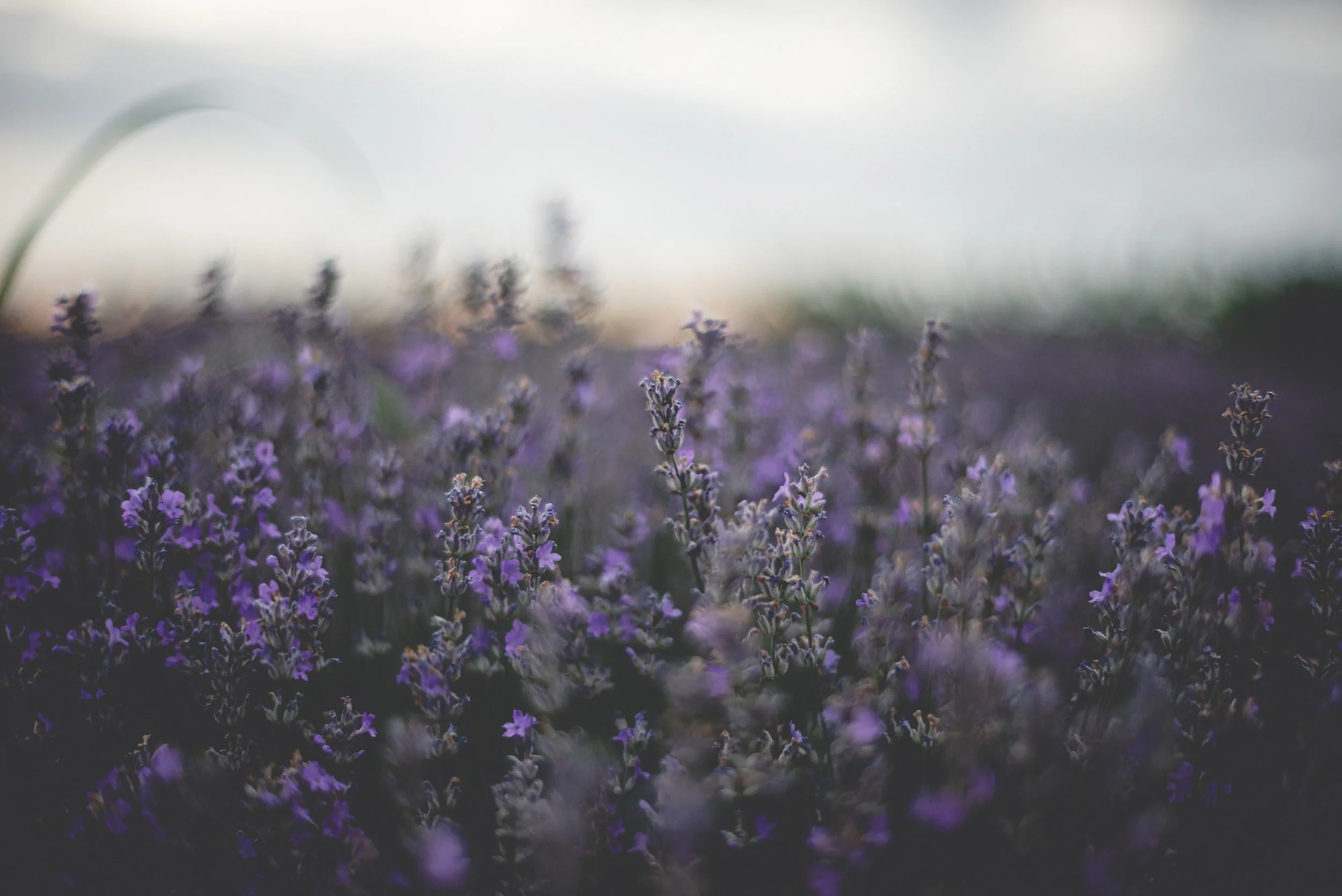 unsplash-image-H25shH2oItM.jpg
