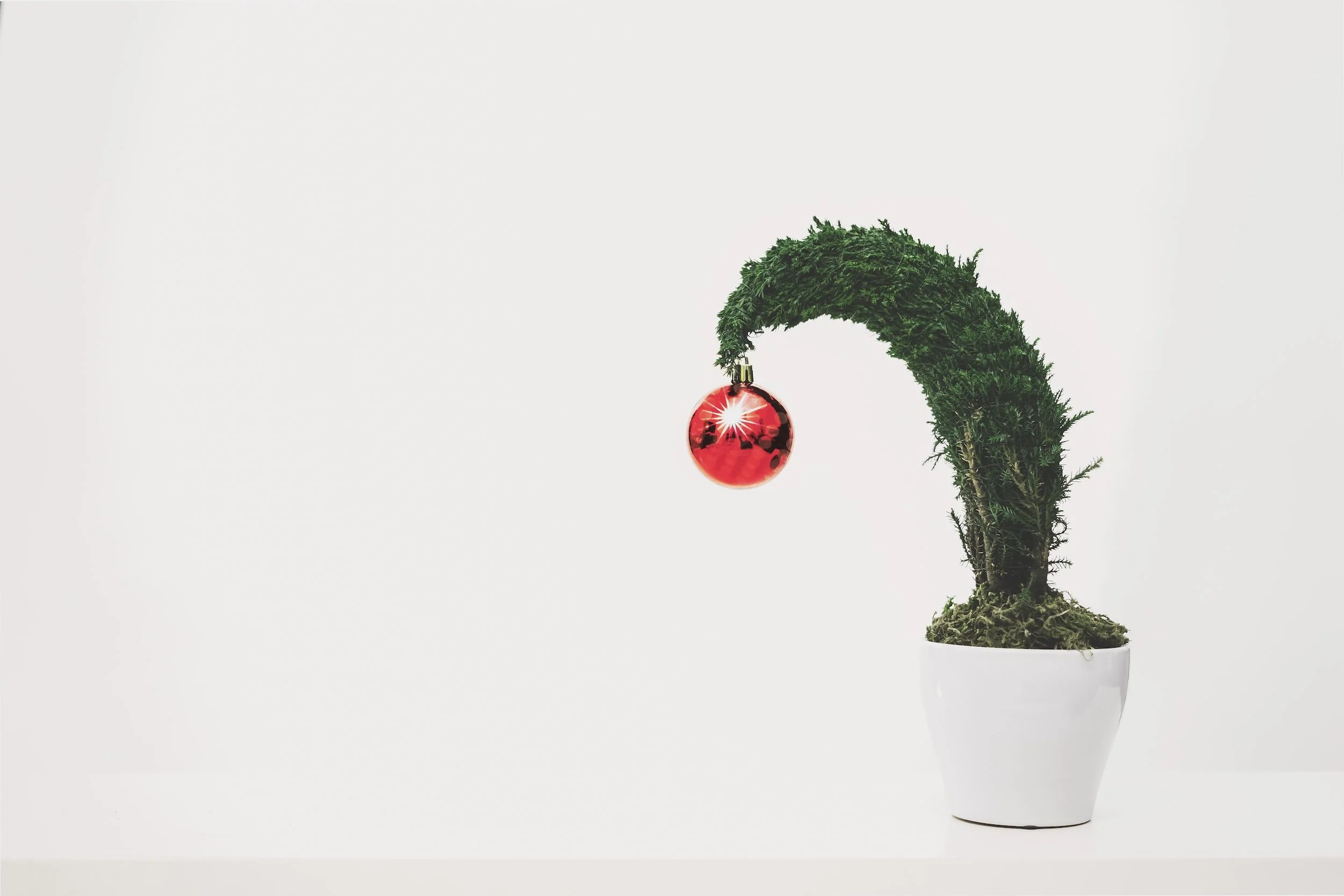 Managing Holiday Stress