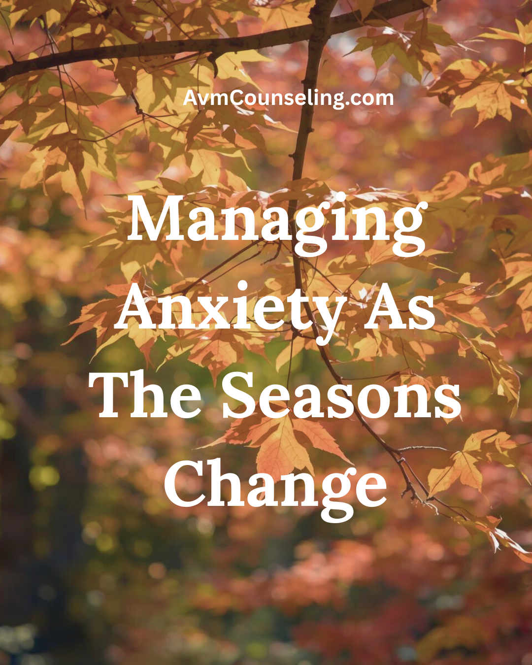 fall leaves seasons white text anxiety