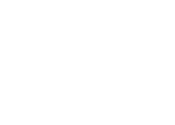Dream Parrot