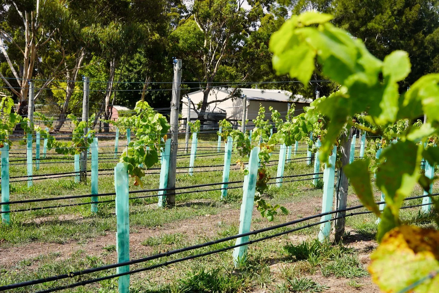 DSC09262-min (1).jpg