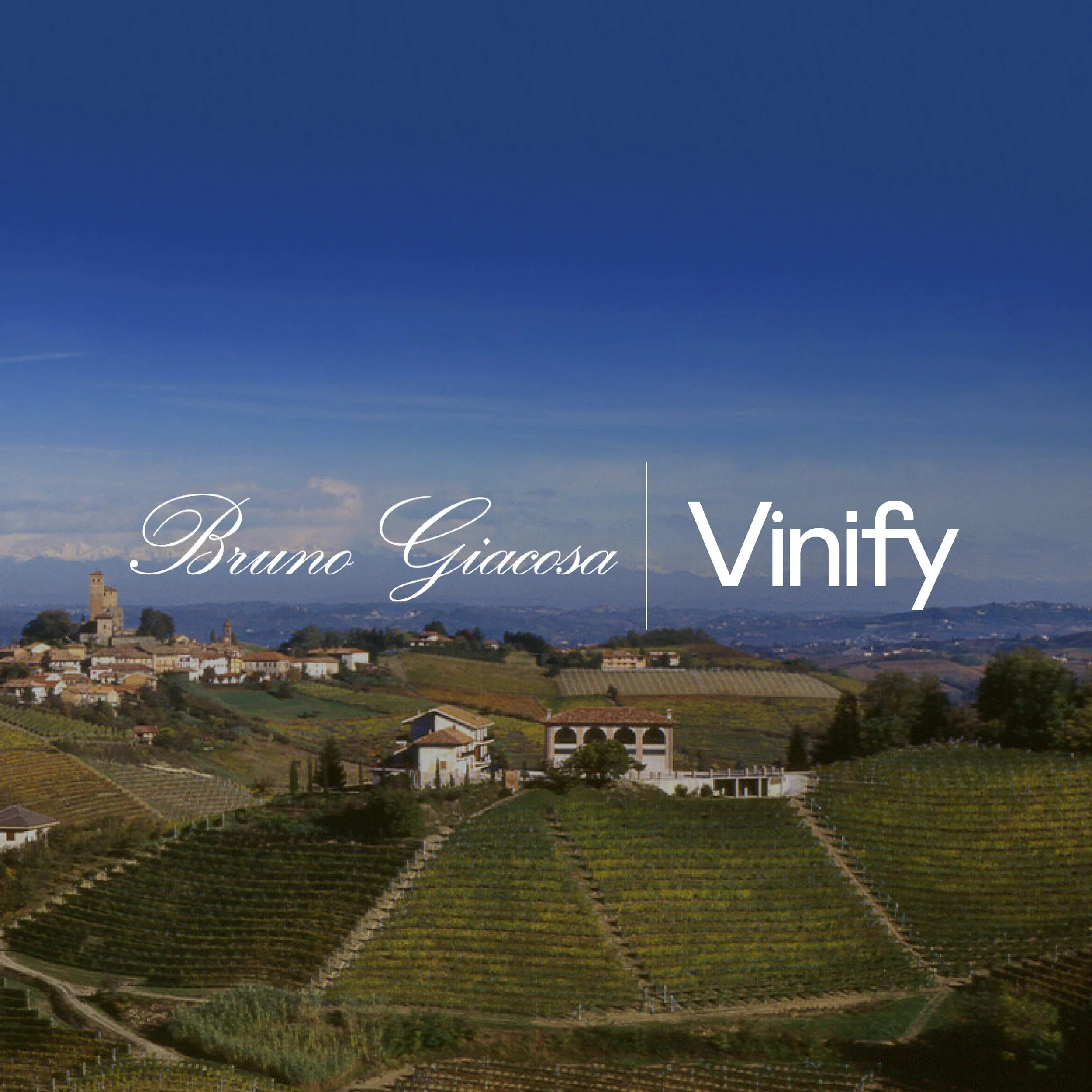 Vinify Vinify