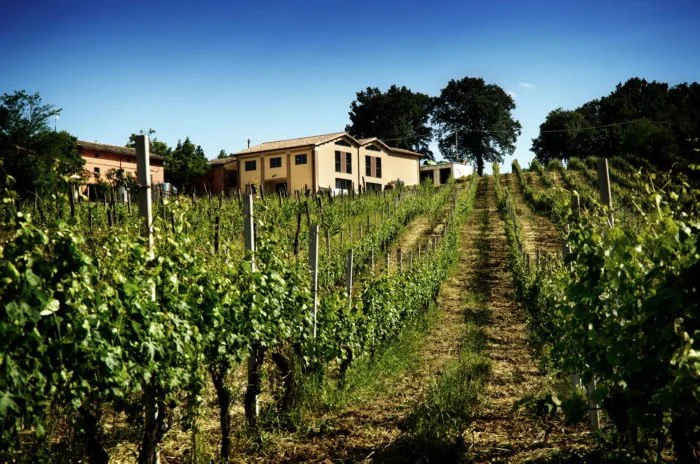 Collestefano (4).jpg
