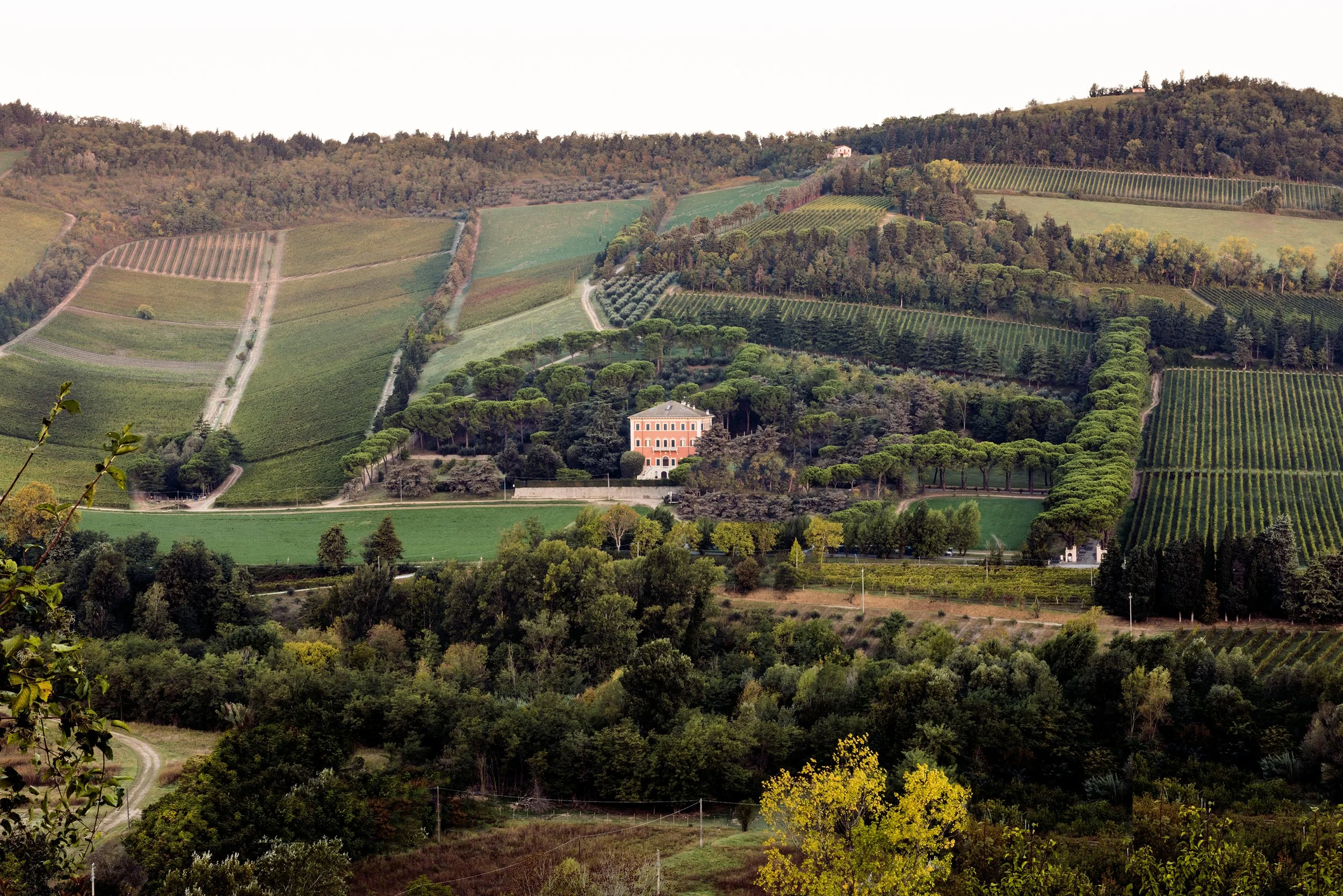 26.-PANDOLFA_VILLA-LANDSCAPE.jpg