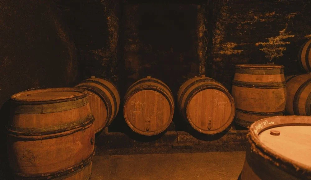 borgogna - janotsbos - cantina - botti_1@1000xauto_r.jpeg.webp