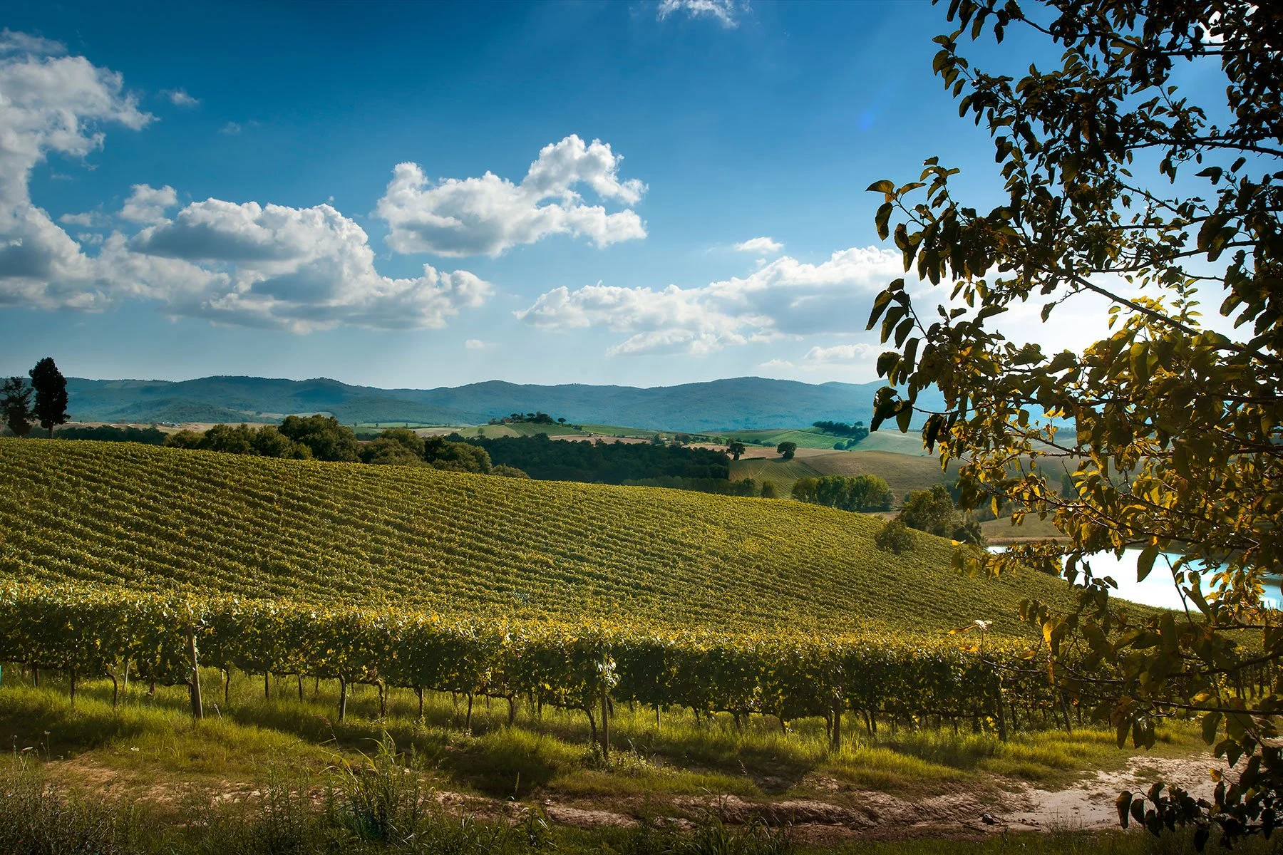 Castello-tricerchi-la-tenuta.jpg