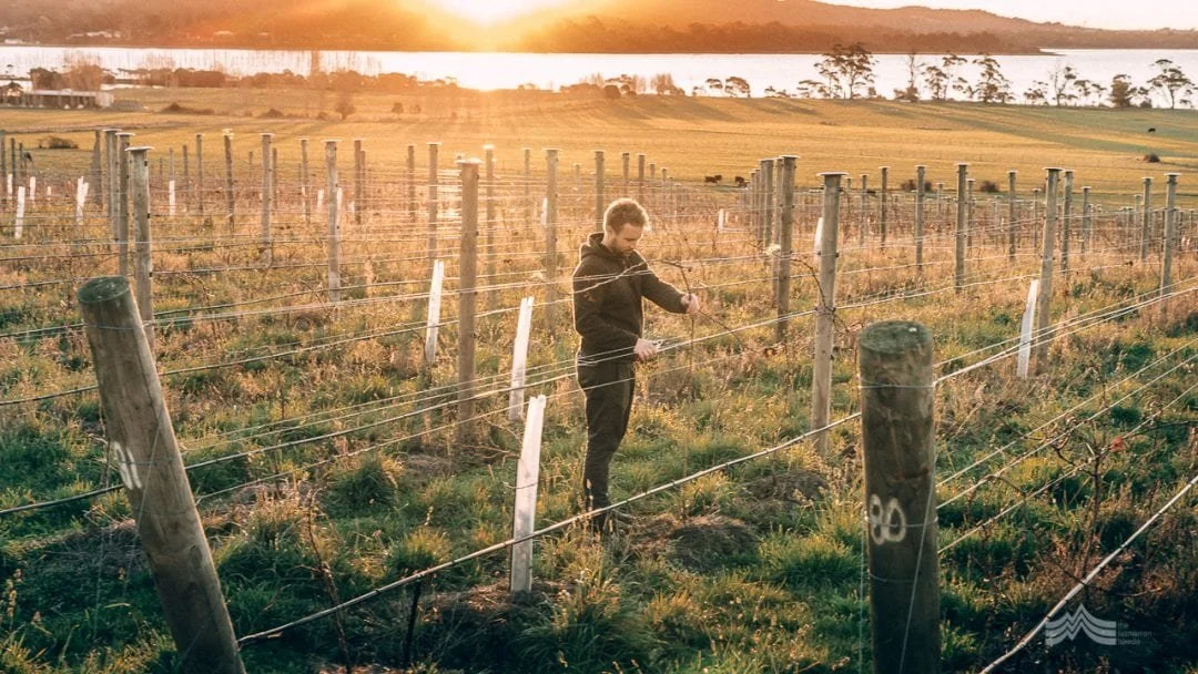 two-tonne-tasmania-wine-5-1080x608.jpg