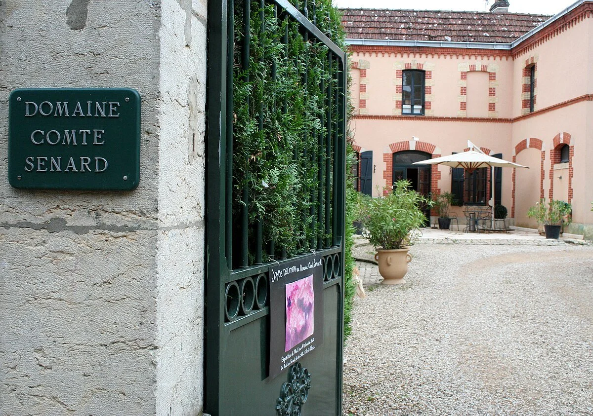 Domaine_Comte_Senard,_Burgundy.jpg