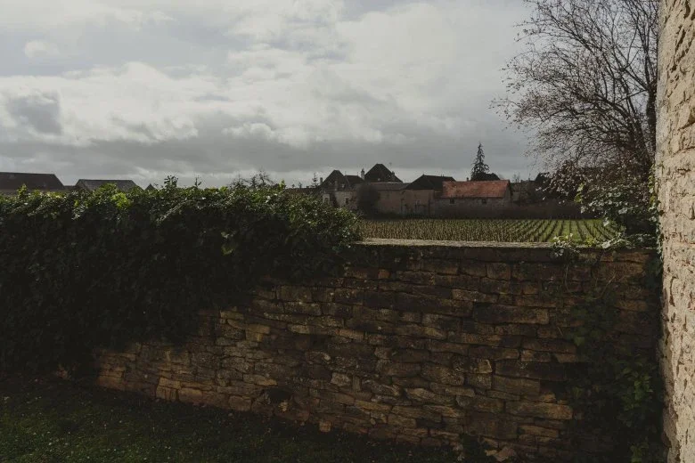 borgogna - janotsbos - vigne_2@780xauto_r.jpeg.webp