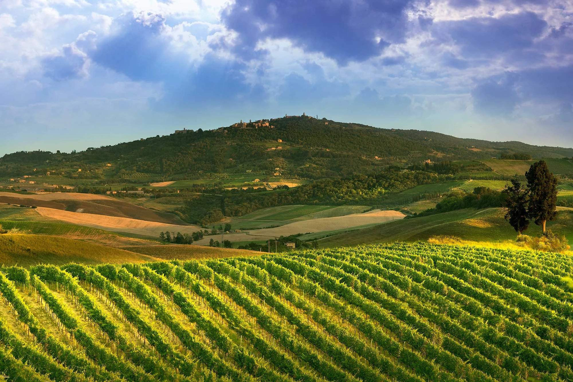 Castello-Tricerchi-Montalcino2.jpg