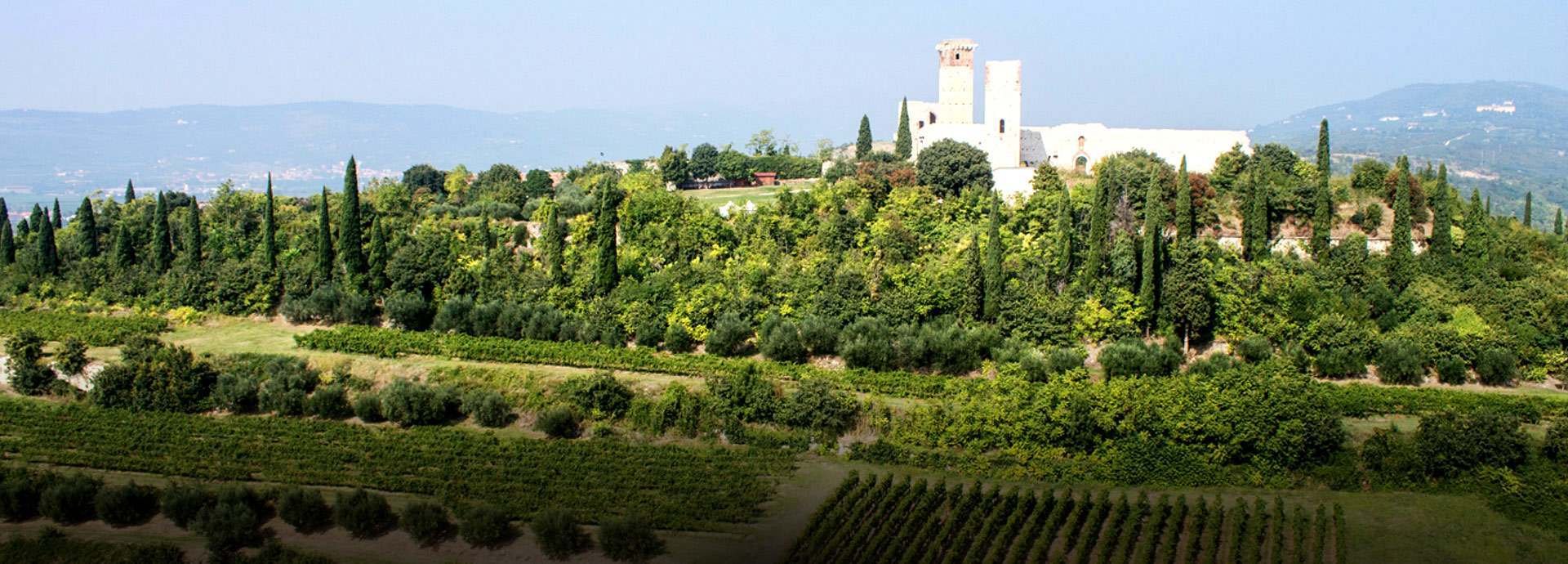 Cecelia Berretta winery.jpg