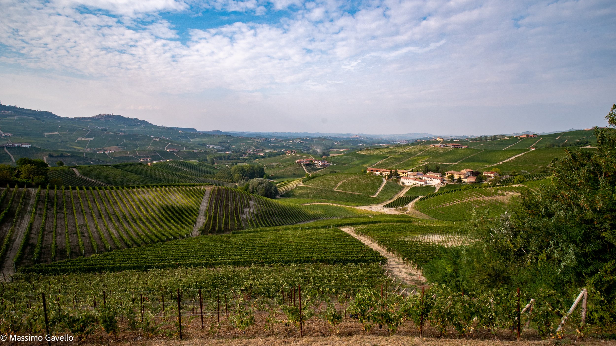 Copia di Cantina-44.jpg