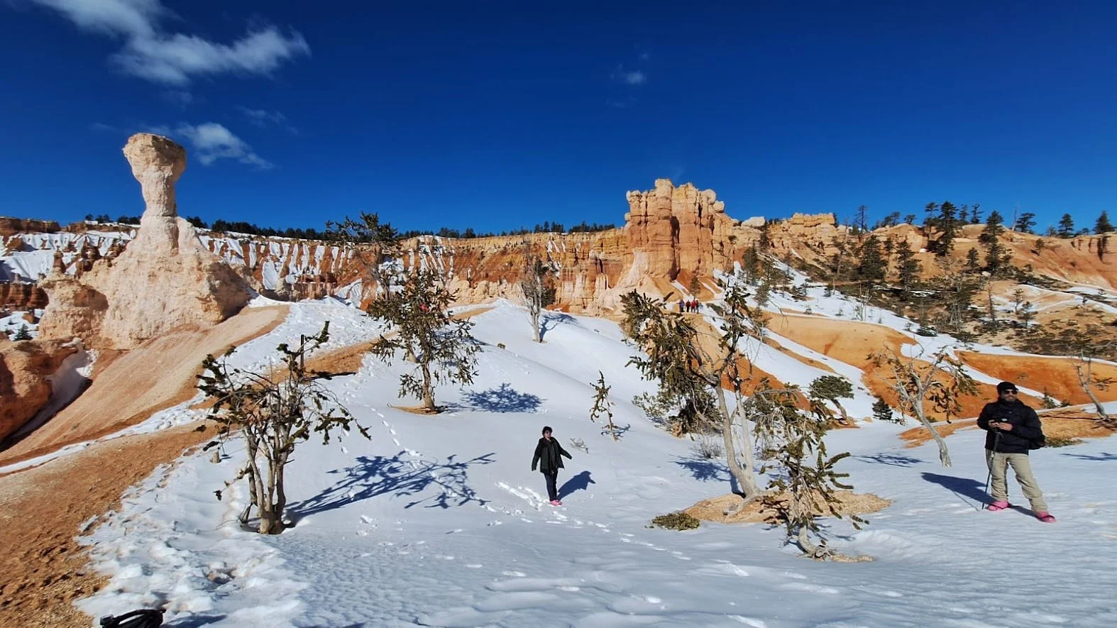 South Utah Desert Adventure