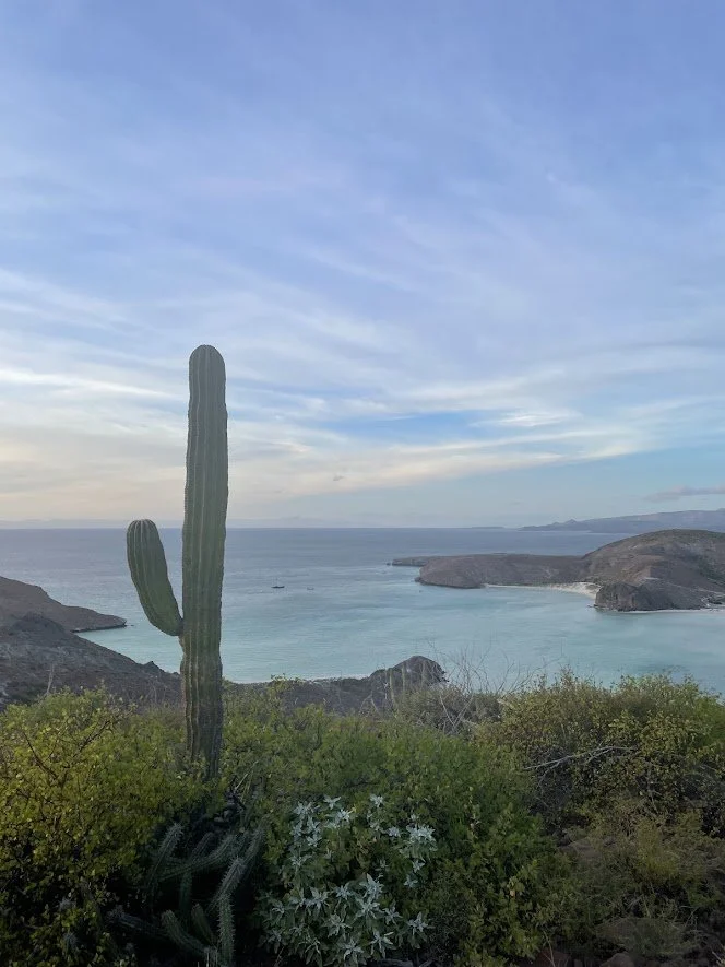 ¡Viva la Baja!