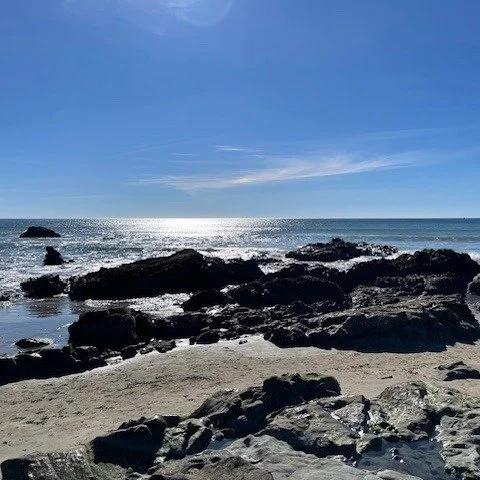 Today's view from my favorite writing spot.