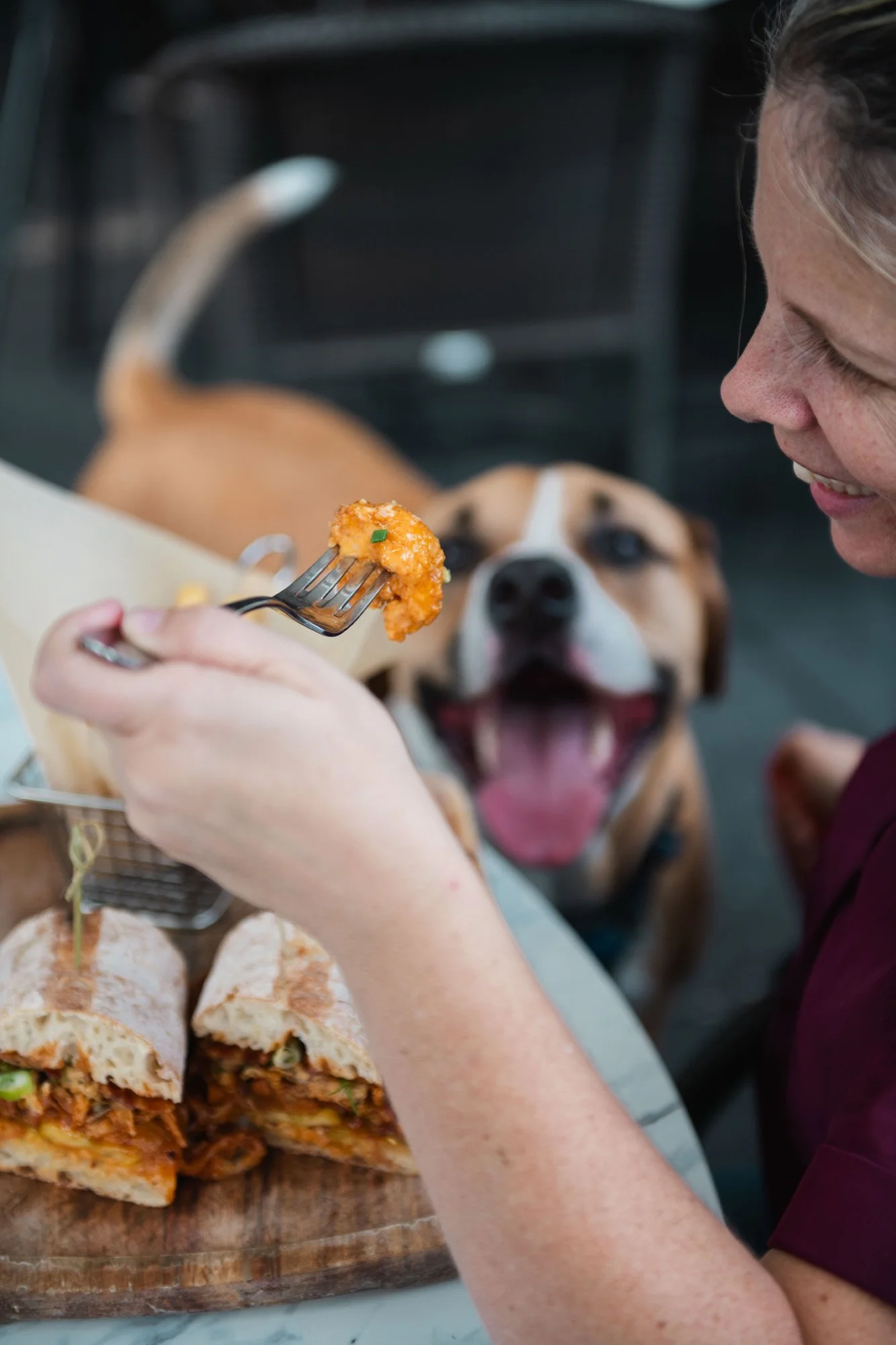 Doggie Patio-19.jpg