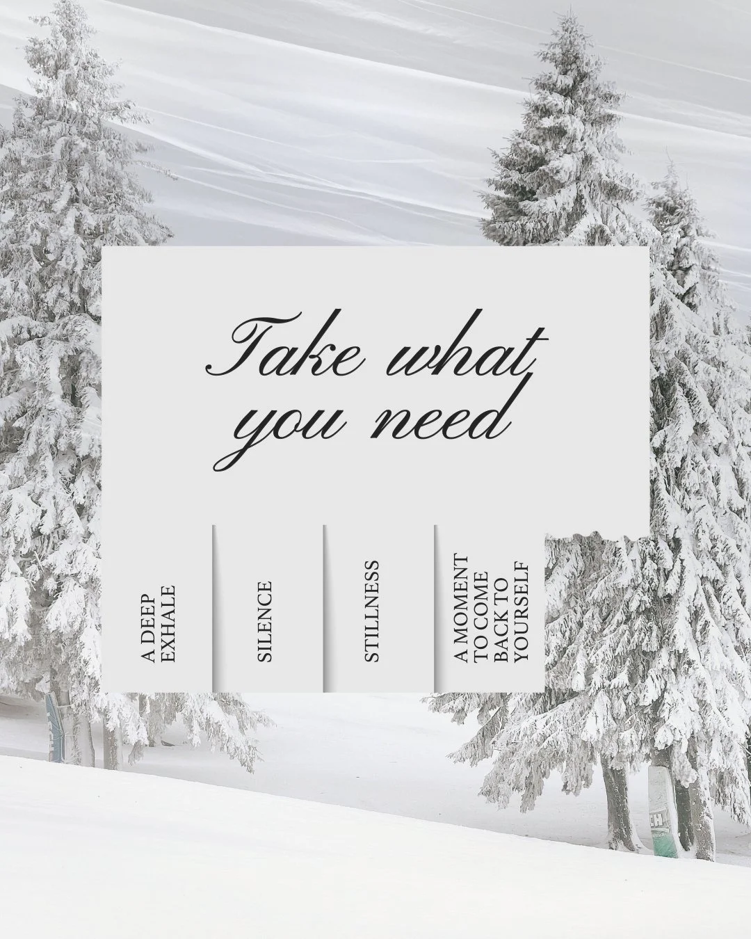 Take what you need &mdash; the ritual, the reset, the reminder.⁠
⁠
Whether it&rsquo;s patience, stillness, or the permission to make yourself a priority&hellip;there&rsquo;s something here for whatever season you&rsquo;re moving through.⁠
⁠
Swipe thr