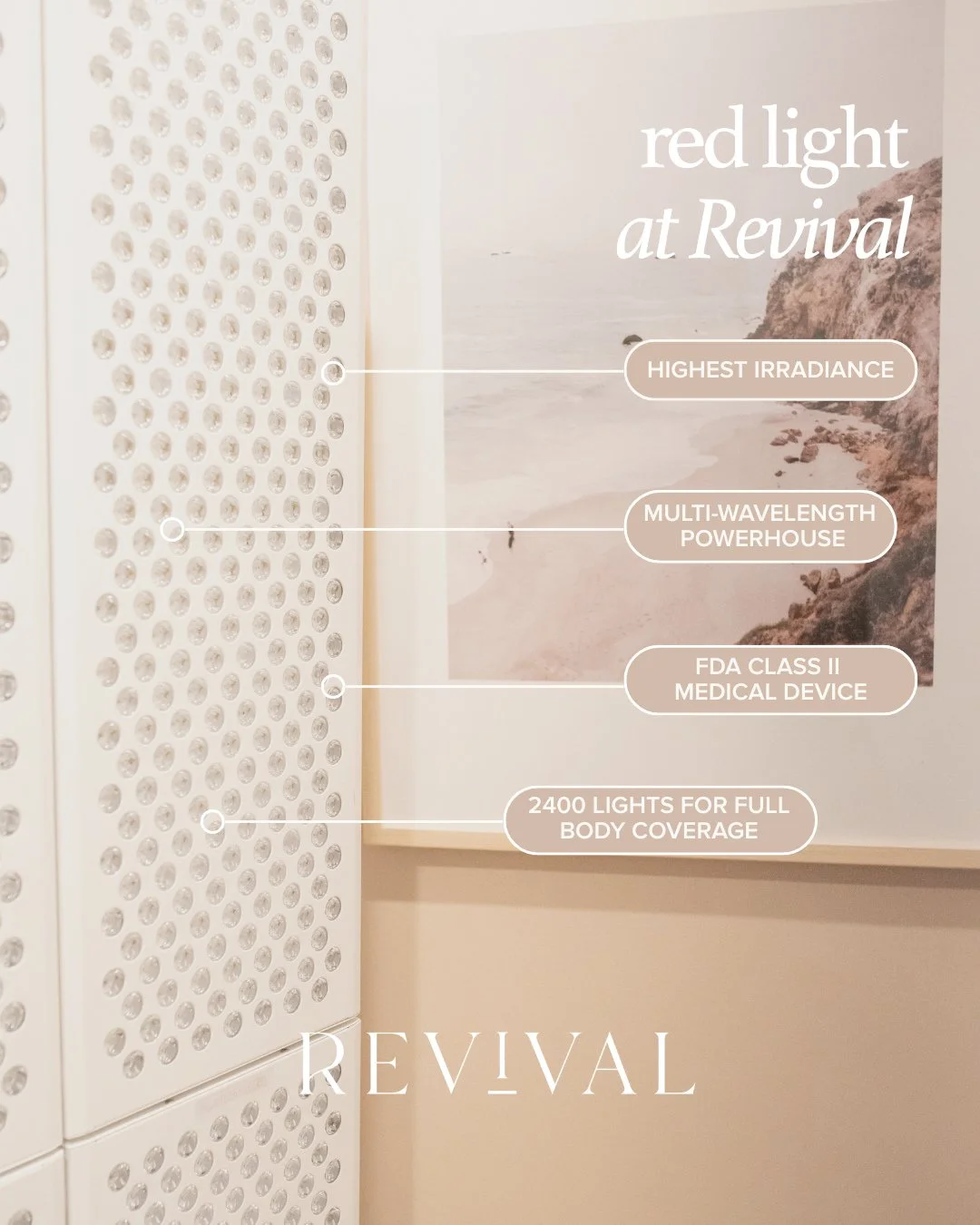 Red light, done right ✨⁠
⁠
At Revival, we use PlatinumLED BioMax panels &mdash; chosen for their unmatched power, precision wavelengths, and full-body coverage.⁠
⁠
✔ Highest irradiance for deeper tissue penetration and faster, more effective results⁠