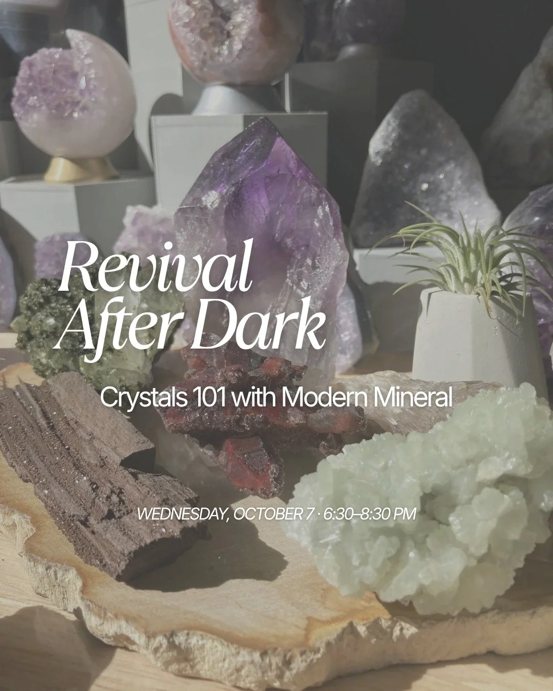 What if your Wednesday night included a little more fun and something beautiful to take home?

Revival After Dark kicks off on Wednesday October 7 with Crystals 101 alongside Modern Mineral &mdash; tarot, cocktails, and two crystals to take home, cho