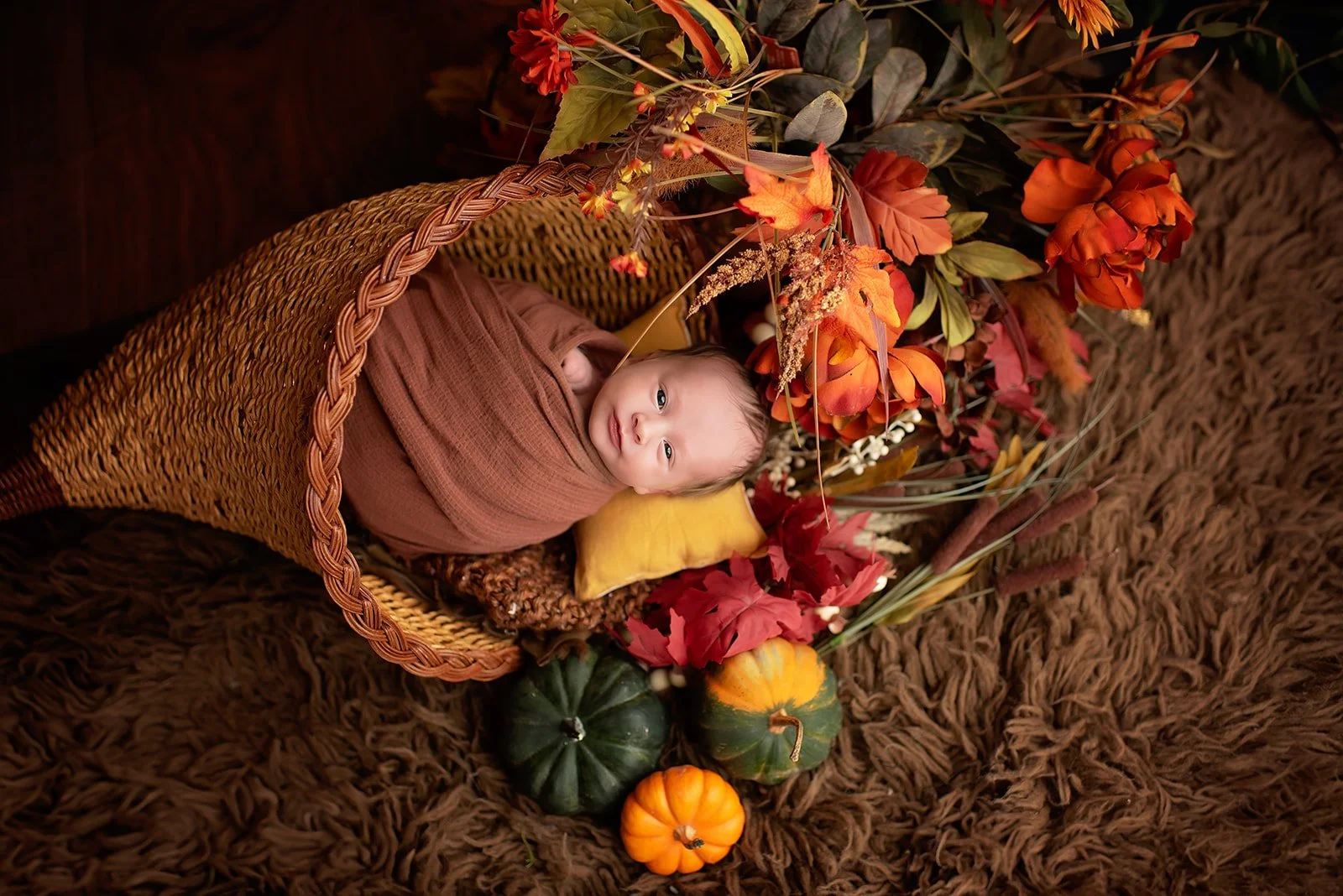 newborn looks at camera from within a cornucopia with fall florals all around