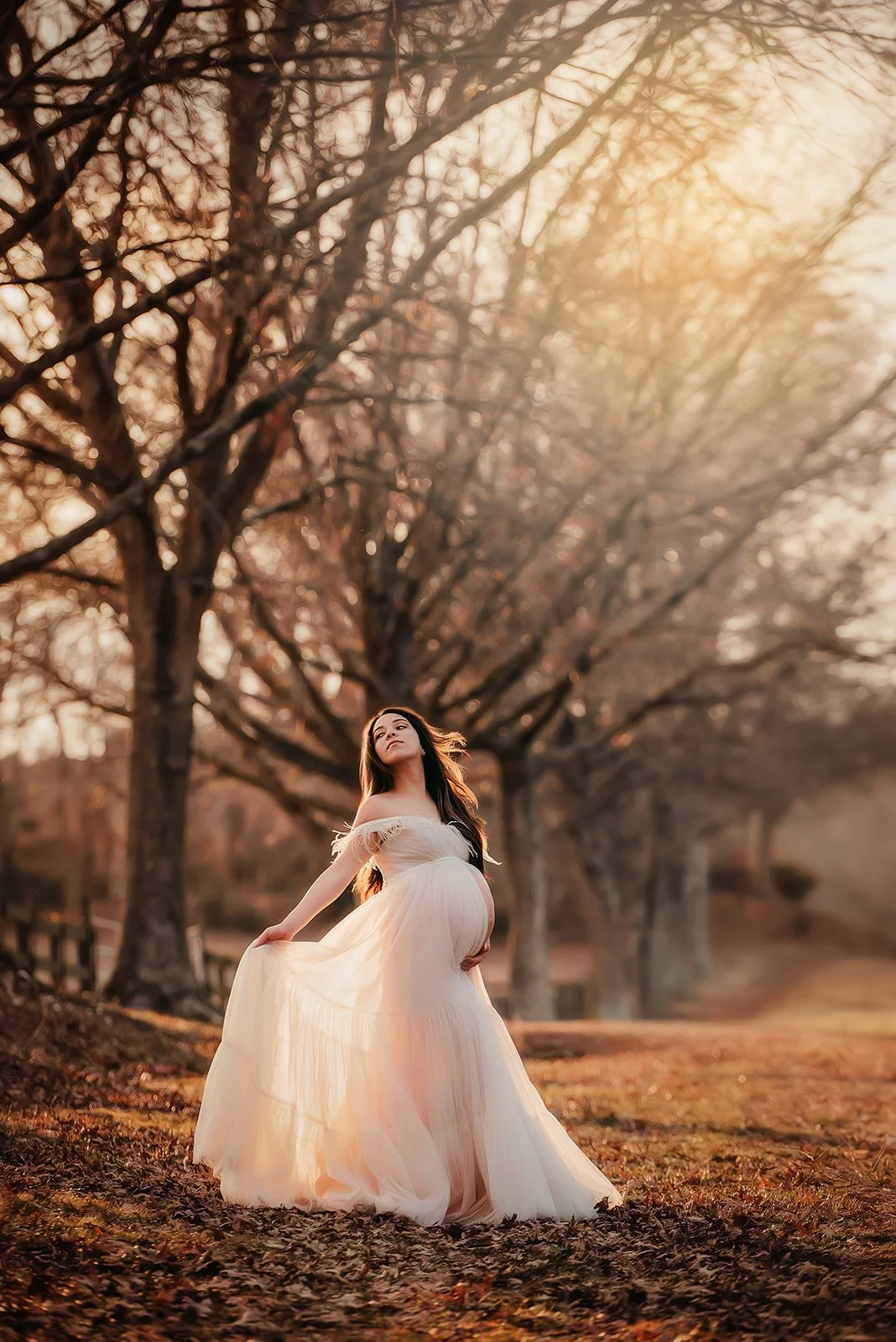Glam Indoor &amp; Outdoor Maternity Session | Maternity Photography Waxhaw, NC