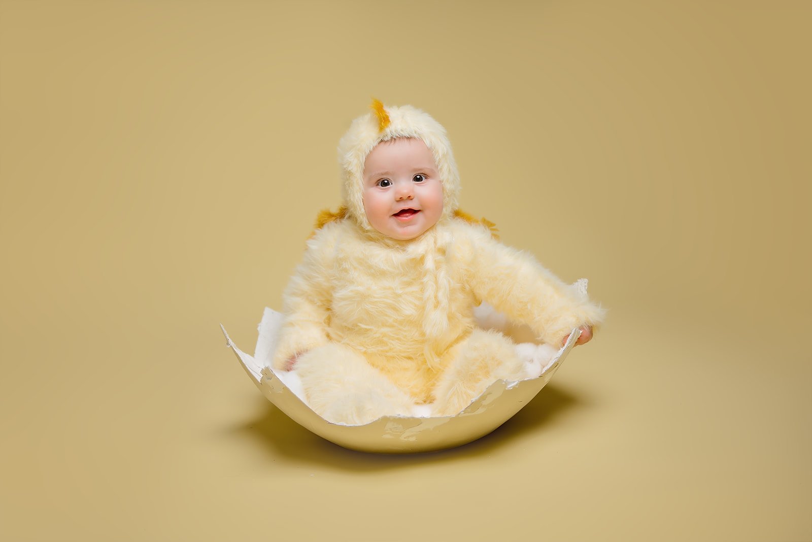 easter chick sitter mini taken in studio in monroe, NC