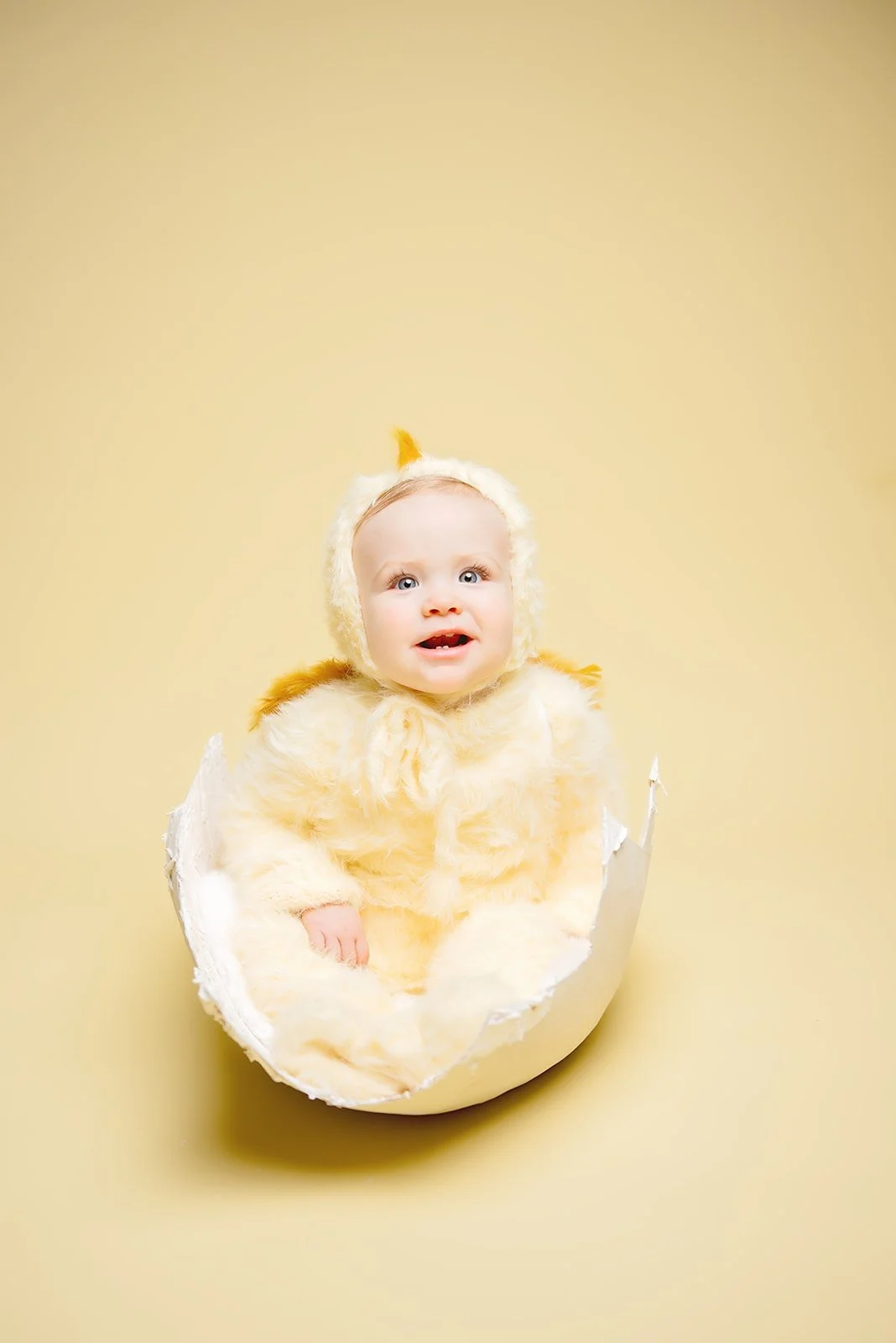 easter chick sitter mini taken in studio in monroe, NC