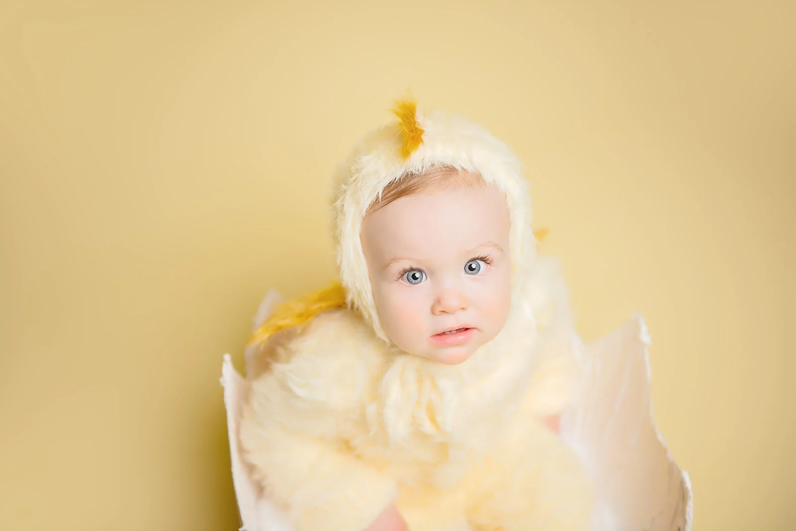 easter chick sitter mini taken in studio in monroe, NC