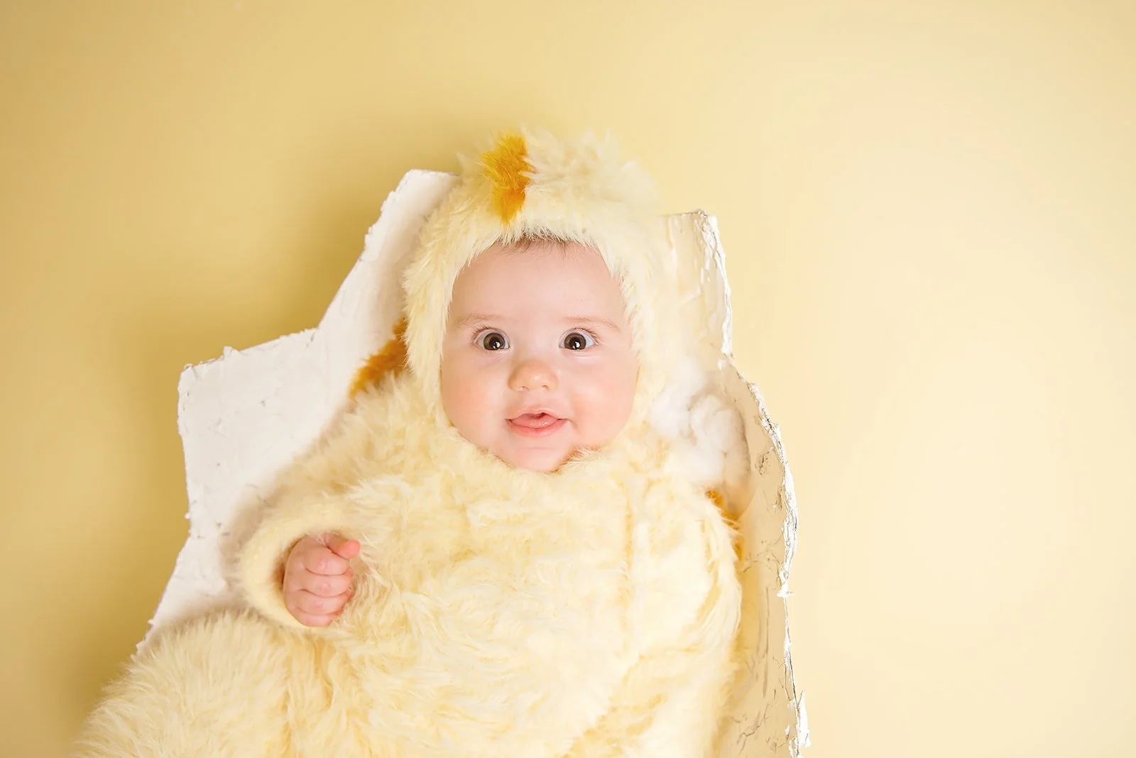 easter chick sitter mini taken in studio in monroe, NC