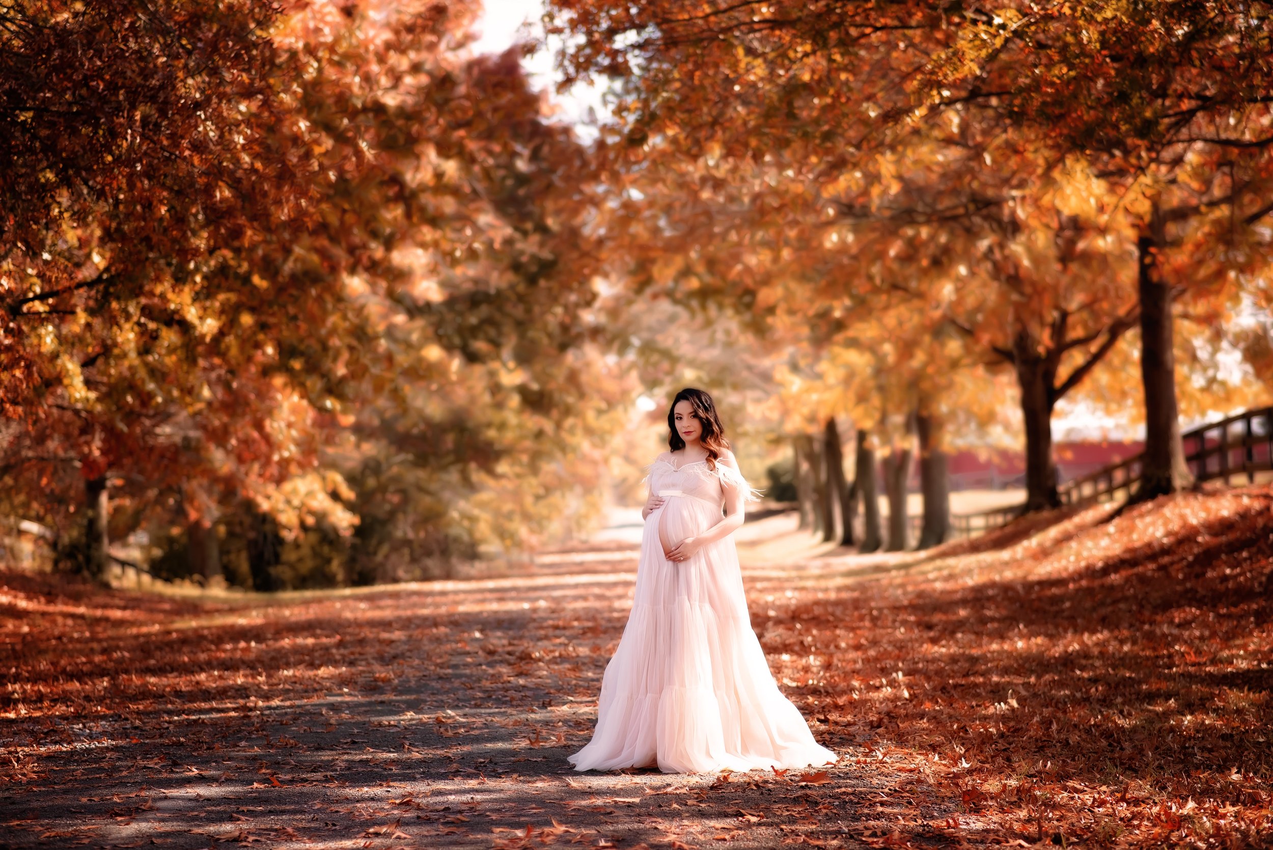 glam maternity mama in studio near Waxhaw, NC