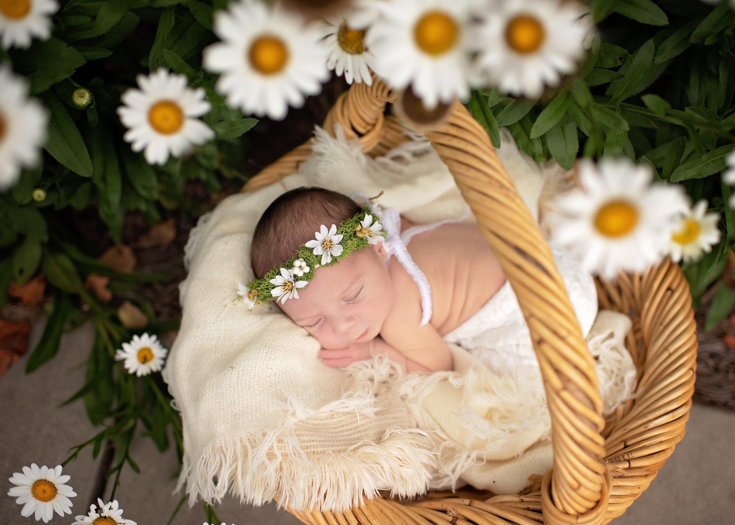 charlotte-newborn-photographer22.jpg