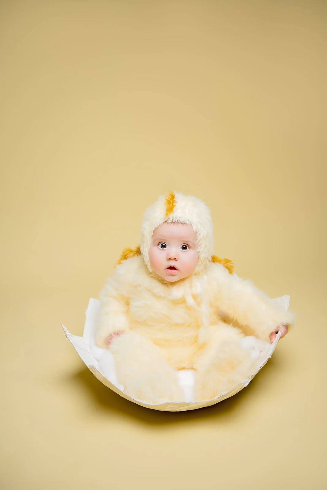 easter chick sitter mini taken in studio in monroe, NC