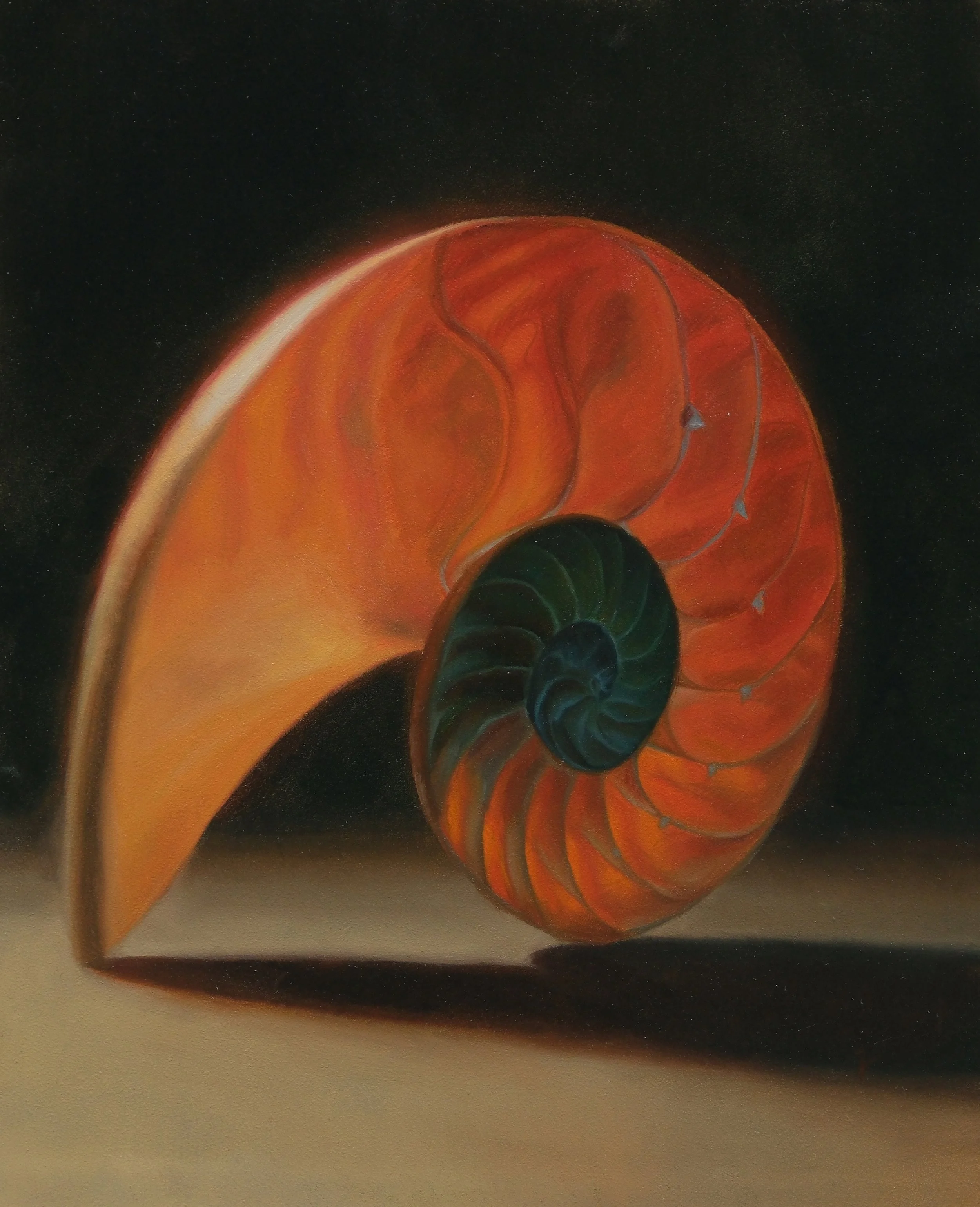 Nautilus, oil on panel, 10" x 8" (2025) (private collection)