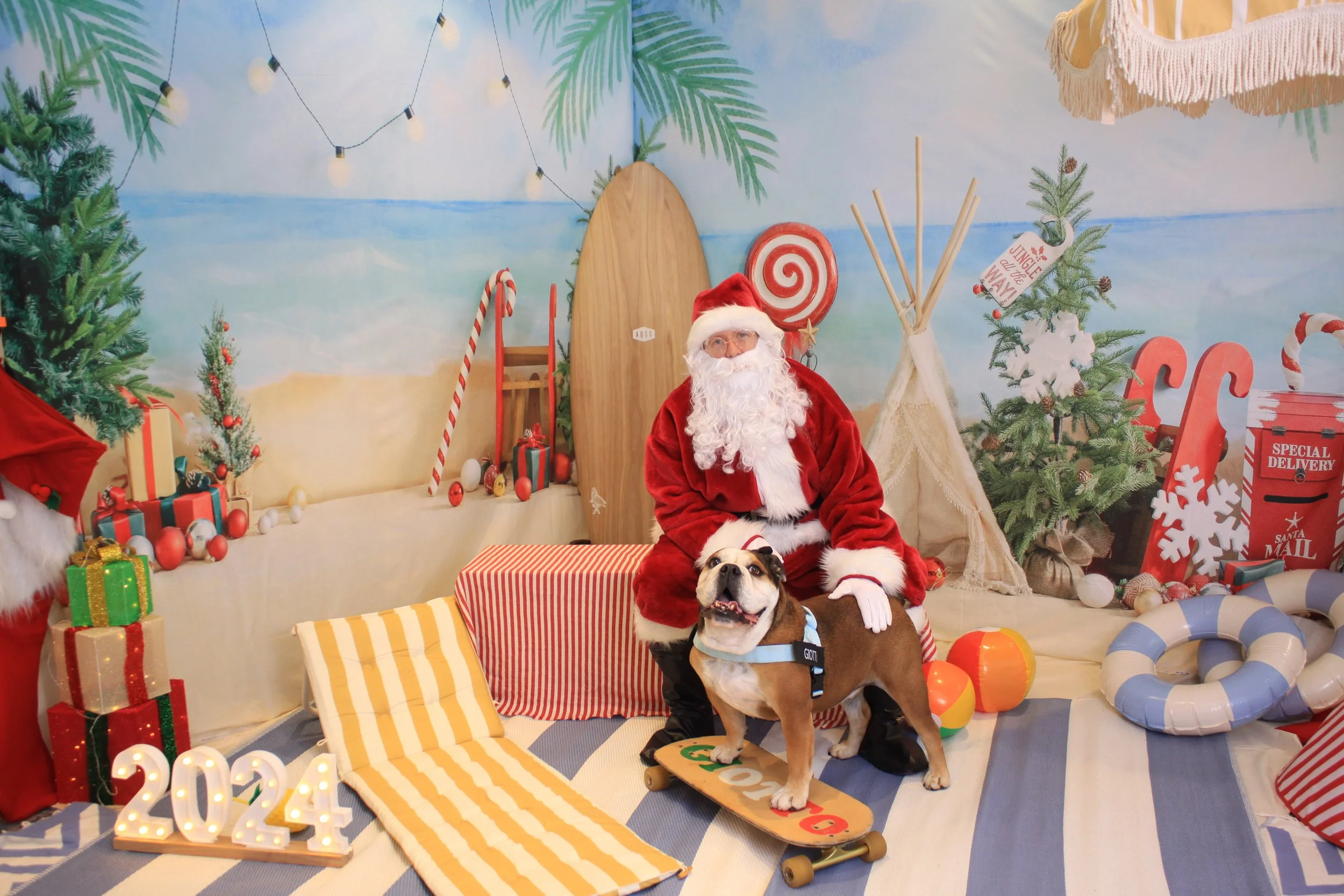 Santa Pics Support Military Working Dogs