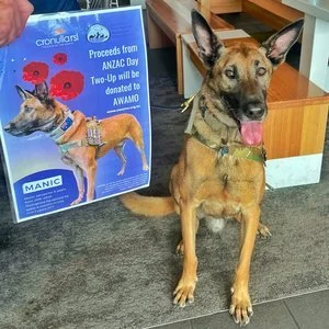 Cronulla RSL RAISE OVER $15,000 FOR animals who have given military service or are impacted by war