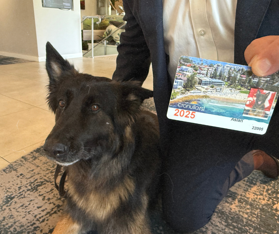 Honouring Aslan: Our Newest Honorary Four-Legged Member