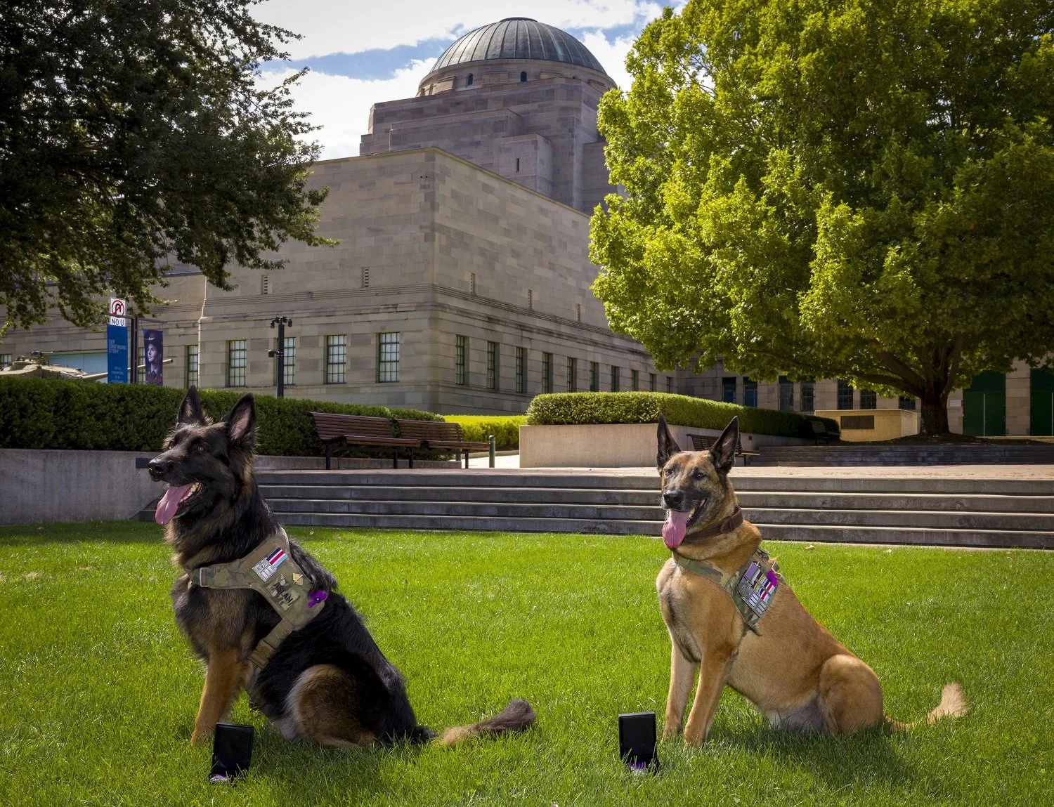 Retired Military Working Dogs Recognised