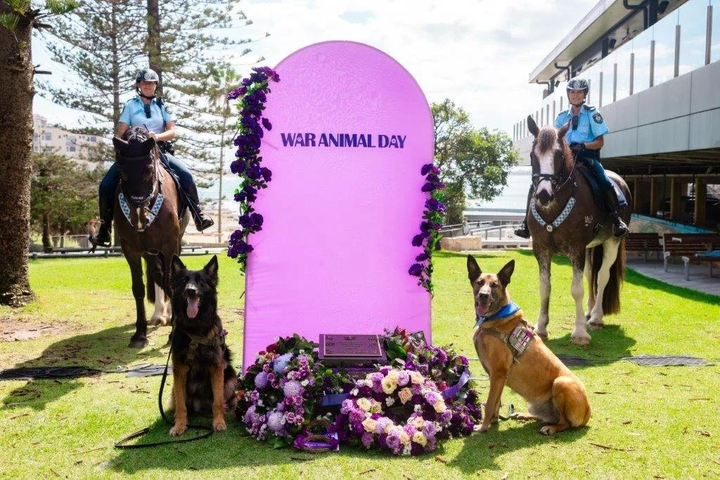 CronullaWarAnimalDay (1).jpg