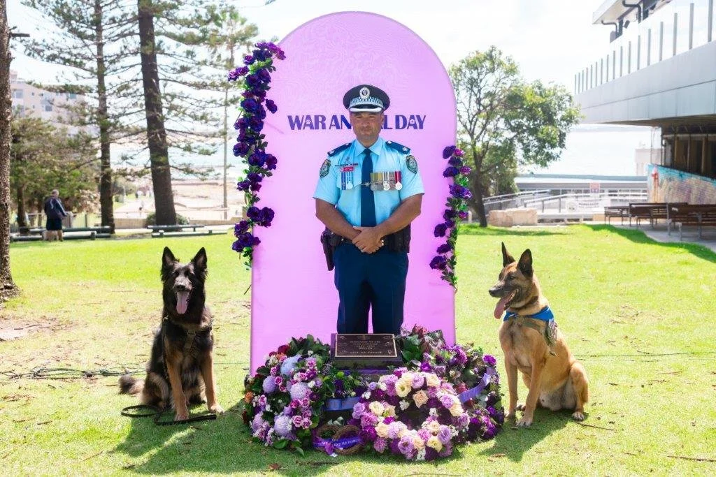 War Animal Day 2026 at Cronulla RSL – Honouring Australia's Bravest ...