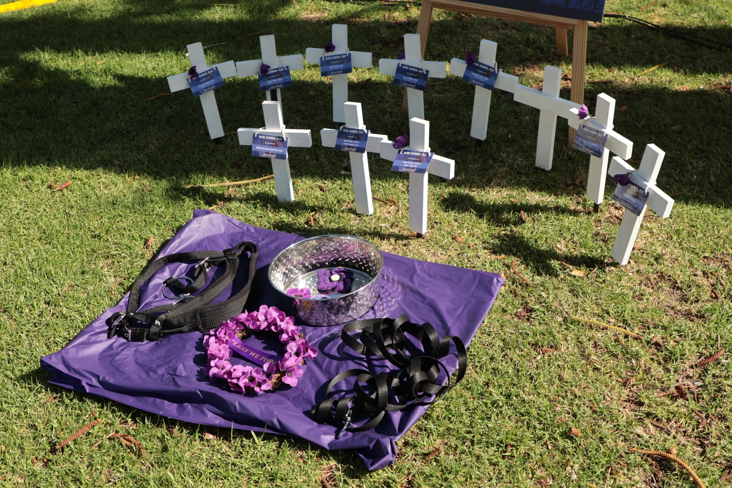 Cronulla Commemorates National War Animal Day in Moving Community Ceremony